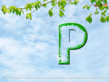 Alphabet P Wallpaper